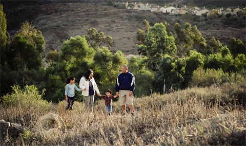News image family in nature