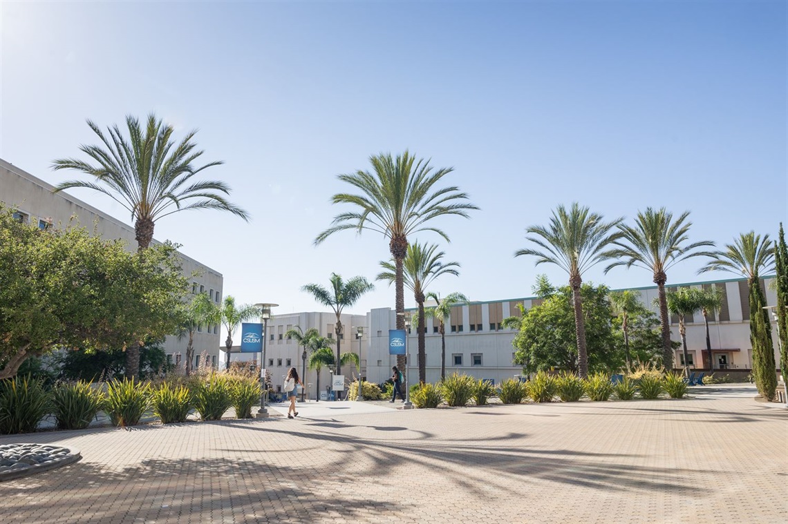 Image of CSUSM campus with sun and trees