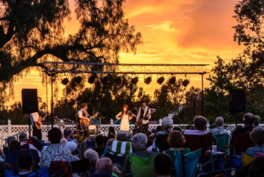 Summer Concert Series