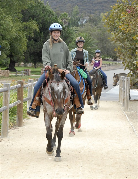 Equestrian group riding at Trails Day