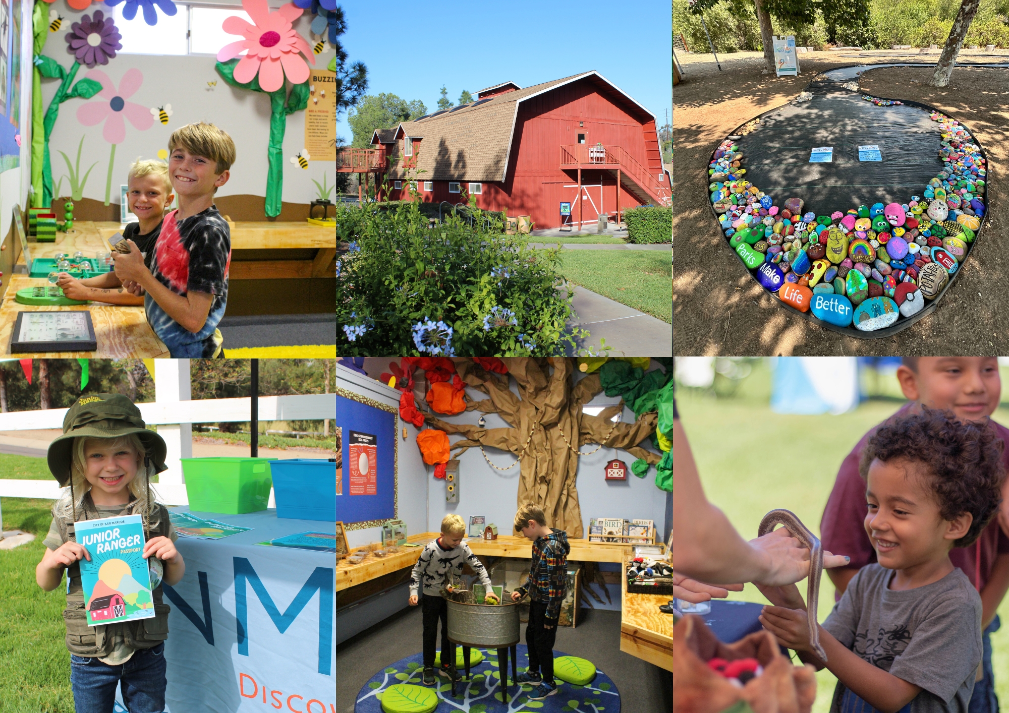 Nature Center Activities