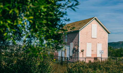 Meyer-Doran-pink-house.png